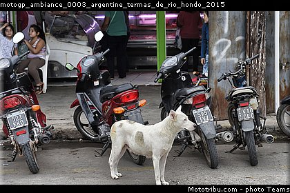 motogp_ambiance_0003_argentine_termas_de_rio_hondo_2015.jpg