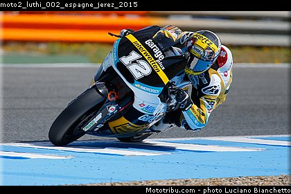 moto2_luthi_002_espagne_jerez_2015.jpg