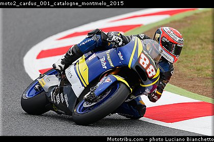 moto2_cardus_001_catalogne_montmelo_2015.jpg