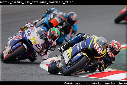 moto2_cardus_004_catalogne_montmelo_2015.jpg