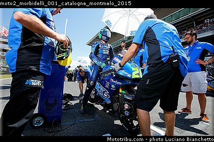 moto2_morbidelli_001_catalogne_montmelo_2015.jpg