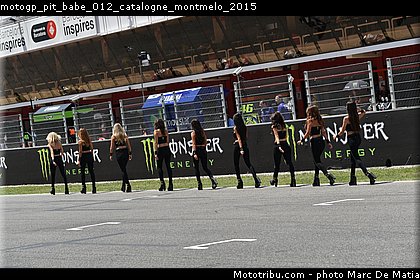 motogp_pit_babe_012_catalogne_montmelo_2015.jpg
