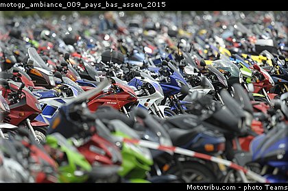 motogp_ambiance_009_pays_bas_assen_2015.jpg