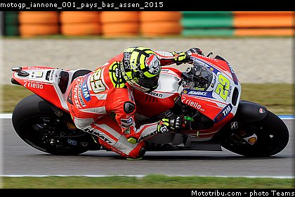 motogp_iannone_001_pays_bas_assen_2015.jpg