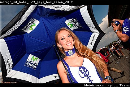 motogp_pit_babe_029_pays_bas_assen_2015.jpg
