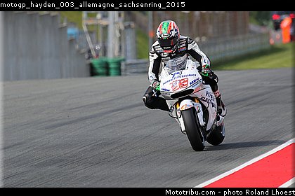 motogp_hayden_003_allemagne_sachsenring_2015.jpg