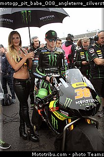 motogp_pit_babe_008_angleterre_silverstone_2015.jpg