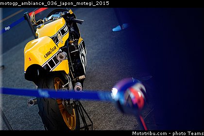 motogp_ambiance_036_japon_motegi_2015.jpg