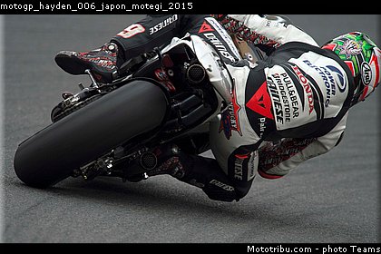 motogp_hayden_006_japon_motegi_2015.jpg