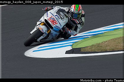 motogp_hayden_008_japon_motegi_2015.jpg