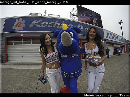motogp_pit_babe_001_japon_motegi_2015.jpg