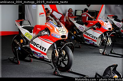 ambiance_004_motogp_2015_malaisie_tests.jpg