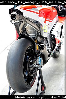 ambiance_016_motogp_2015_malaisie_tests.jpg