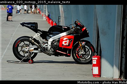 ambiance_020_motogp_2015_malaisie_tests.jpg