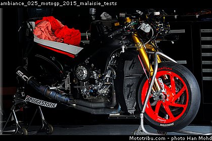 ambiance_025_motogp_2015_malaisie_tests.jpg