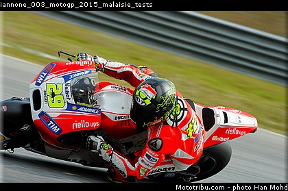 iannone_003_motogp_2015_malaisie_tests.jpg