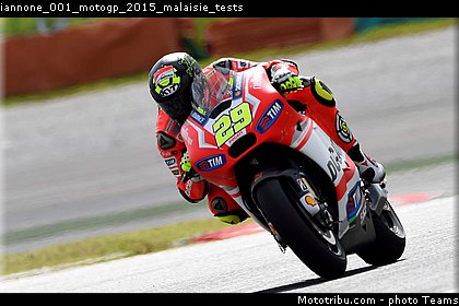 iannone_001_motogp_2015_malaisie_tests.jpg