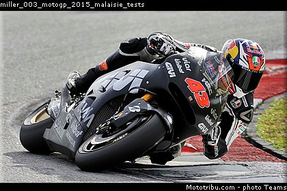 miller_003_motogp_2015_malaisie_tests.jpg