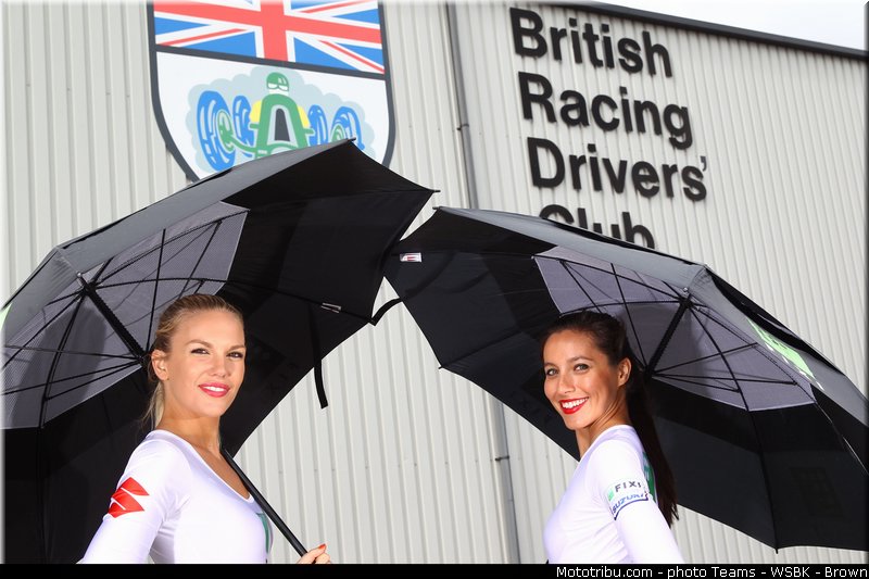 superbike_pit_babe_011_wsbk_2013_angleterre_silverstone