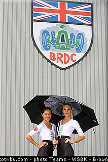 superbike_pit_babe_007_wsbk_2013_angleterre_silverstone.jpg