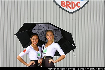 superbike_pit_babe_009_wsbk_2013_angleterre_silverstone.jpg