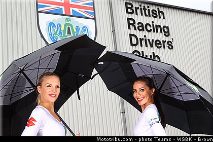 superbike_pit_babe_011_wsbk_2013_angleterre_silverstone.jpg