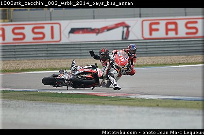 1000stk_cecchini_002_wsbk_2014_pays_bas_assen.jpg
