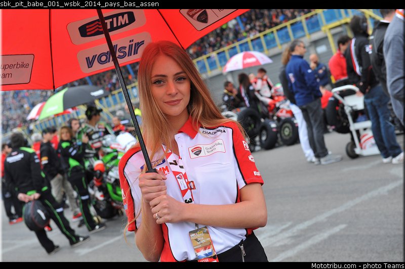 sbk_pit_babe_001_wsbk_2014_pays_bas_assen