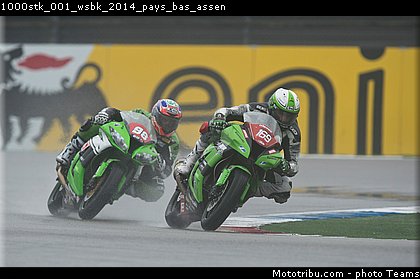 1000stk_001_wsbk_2014_pays_bas_assen.jpg