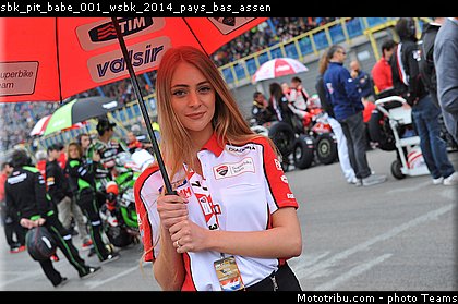sbk_pit_babe_001_wsbk_2014_pays_bas_assen.jpg