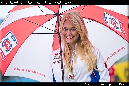 sbk_pit_babe_003_wsbk_2014_pays_bas_assen.jpg