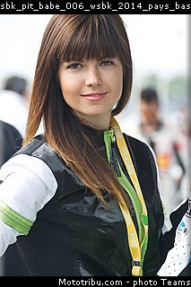sbk_pit_babe_006_wsbk_2014_pays_bas_assen.jpg