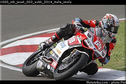 1000_stk_jezek_002_wsbk_2014_italie_imola.jpg