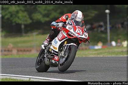 1000_stk_jezek_003_wsbk_2014_italie_imola.jpg