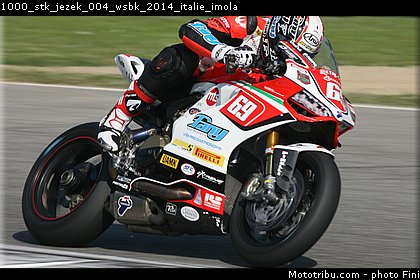 1000_stk_jezek_004_wsbk_2014_italie_imola.jpg