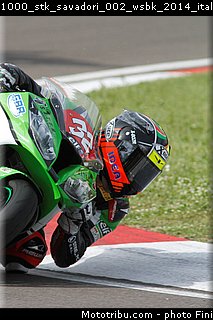 1000_stk_savadori_002_wsbk_2014_italie_imola.jpg
