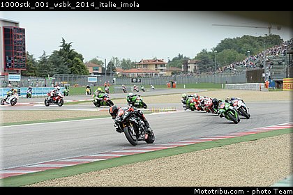 1000stk_001_wsbk_2014_italie_imola.jpg