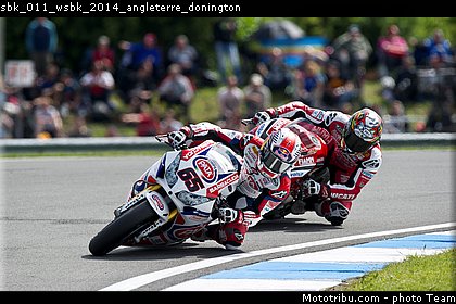 sbk_011_wsbk_2014_angleterre_donington.jpg