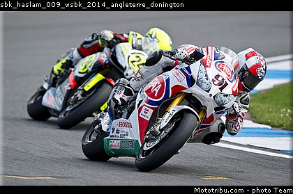 sbk_haslam_009_wsbk_2014_angleterre_donington.jpg