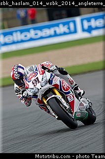 sbk_haslam_014_wsbk_2014_angleterre_donington.jpg