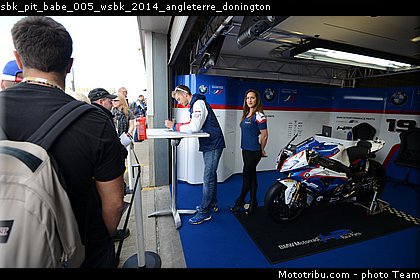 sbk_pit_babe_005_wsbk_2014_angleterre_donington.jpg