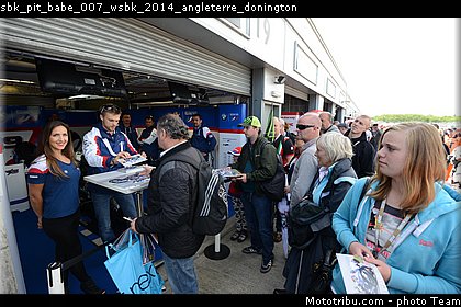 sbk_pit_babe_007_wsbk_2014_angleterre_donington.jpg