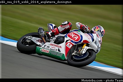 sbk_rea_015_wsbk_2014_angleterre_donington.jpg