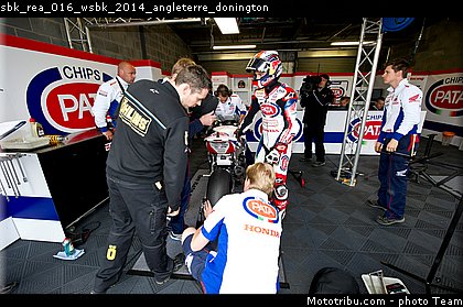 sbk_rea_016_wsbk_2014_angleterre_donington.jpg