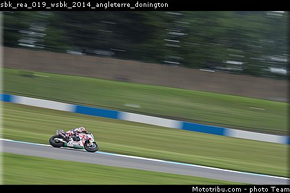 sbk_rea_019_wsbk_2014_angleterre_donington.jpg