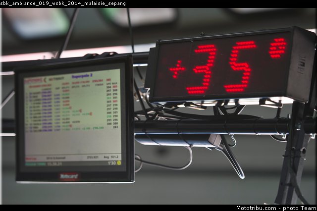 sbk_ambiance_019_wsbk_2014_malaisie_sepang