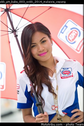 sbk_pit_babe_003_wsbk_2014_malaisie_sepang