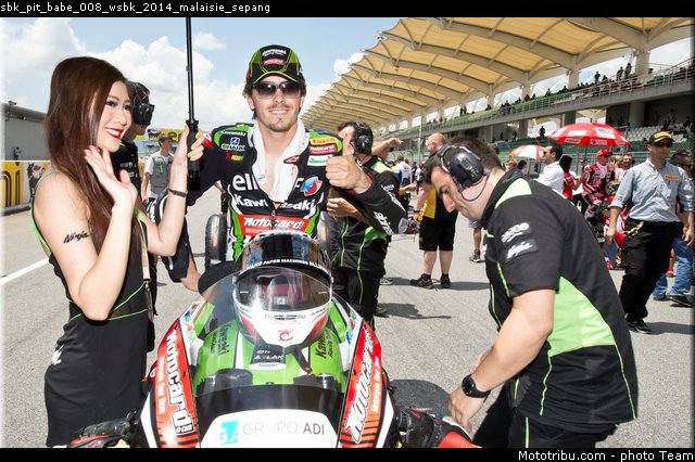 sbk_pit_babe_008_wsbk_2014_malaisie_sepang