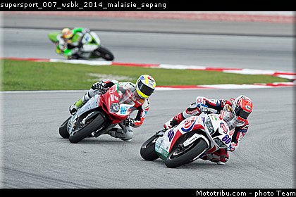 supersport_007_wsbk_2014_malaisie_sepang.jpg