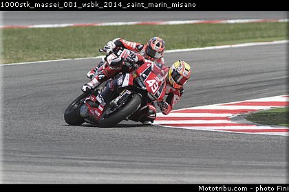 1000stk_massei_001_wsbk_2014_saint_marin_misano.jpg